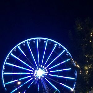 Meet your Posher, Mitzi